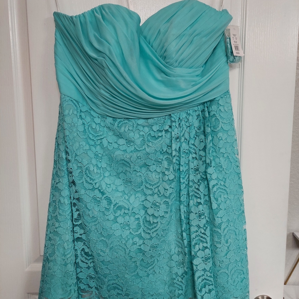 David's Bridal dress; 18